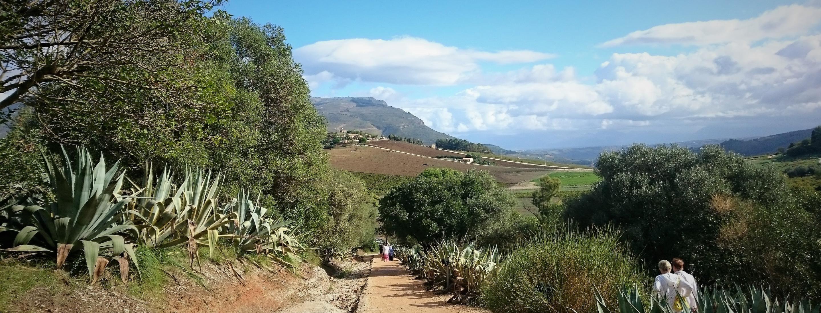 Segesta